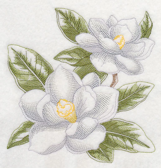 Magnolia Sketch - Image 2