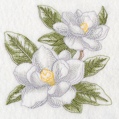 Magnolia Sketch - Image 4