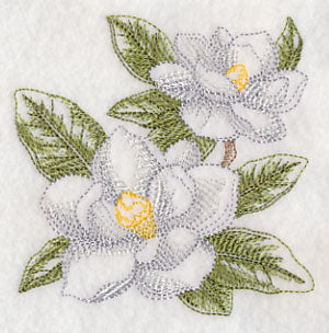Magnolia Sketch - Image 5
