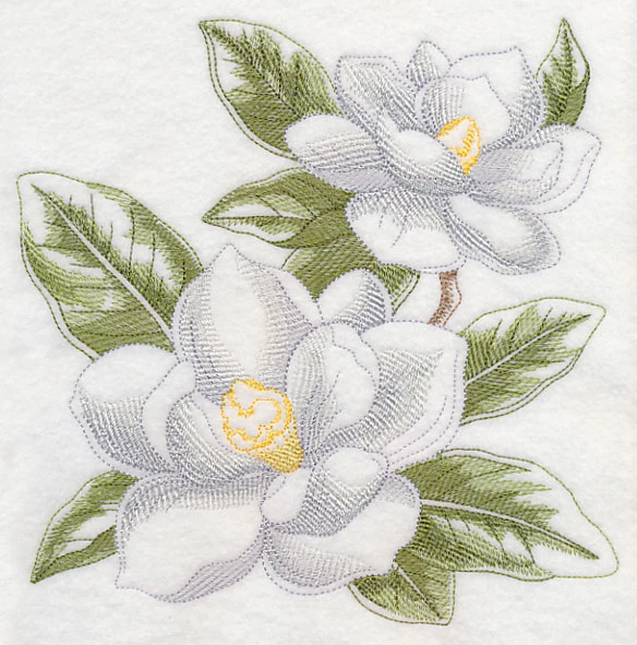 Magnolia Sketch - Image 6