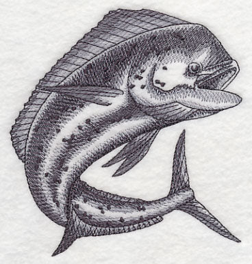 Mahi Mahi Sketch - Image 2