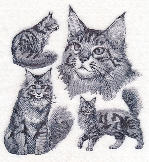Maine Coon Cat Sketch - Image 2