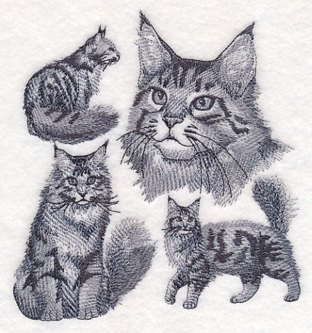 Maine Coon Cat Sketch - Image 3