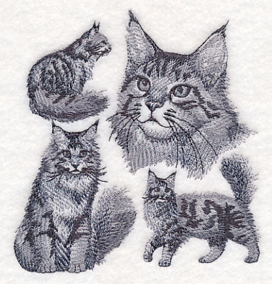 Maine Coon Cat Sketch - Image 4