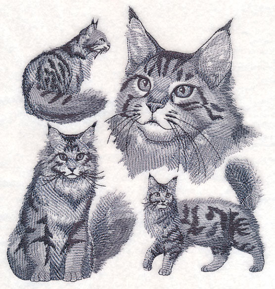 Maine Coon Cat Sketch - Image 5