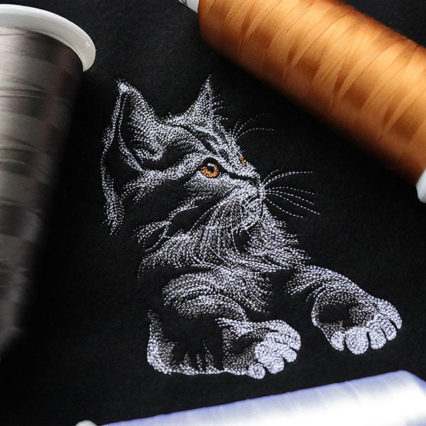 Majestic Gaze Kitten - Image 6