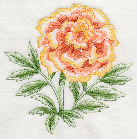 Marigold Beauty - Image 3