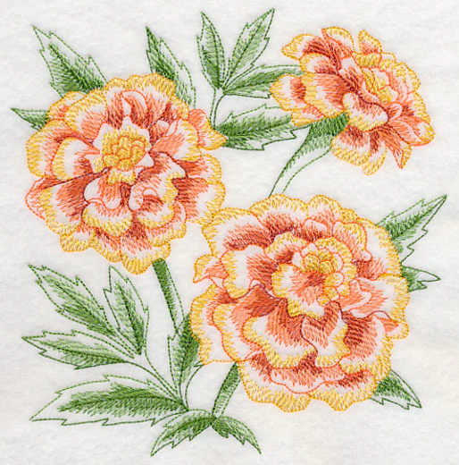 Marigold Sketch - Image 2