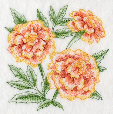 Marigold Sketch - Image 4