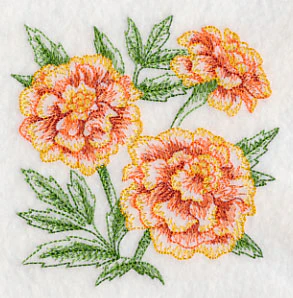 Marigold Sketch - Image 5
