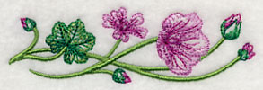 Marvelous Malva Border 1 - Image 3