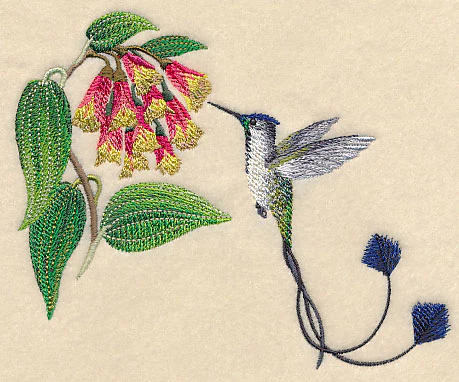 Marvelous Spatuletail Hummingbird - Image 3
