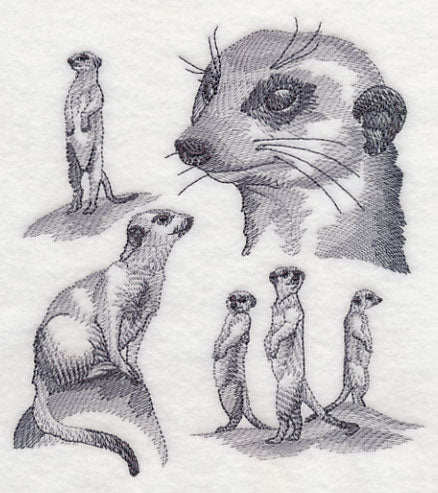 Meerkat Sketch - Image 2