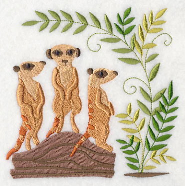 Meerkats and Savanna Plants - Image 4
