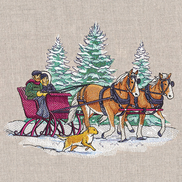 Memorable Winter Sleigh Ride - Image 4