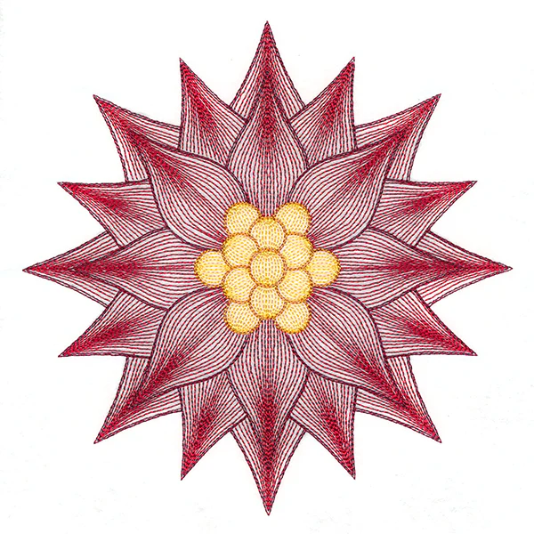 Mesmerizing Poinsettia - Image 3