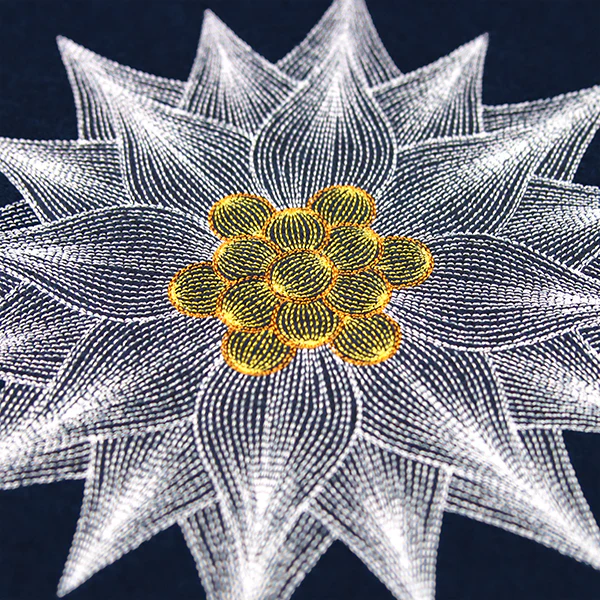Mesmerizing Poinsettia - Image 4