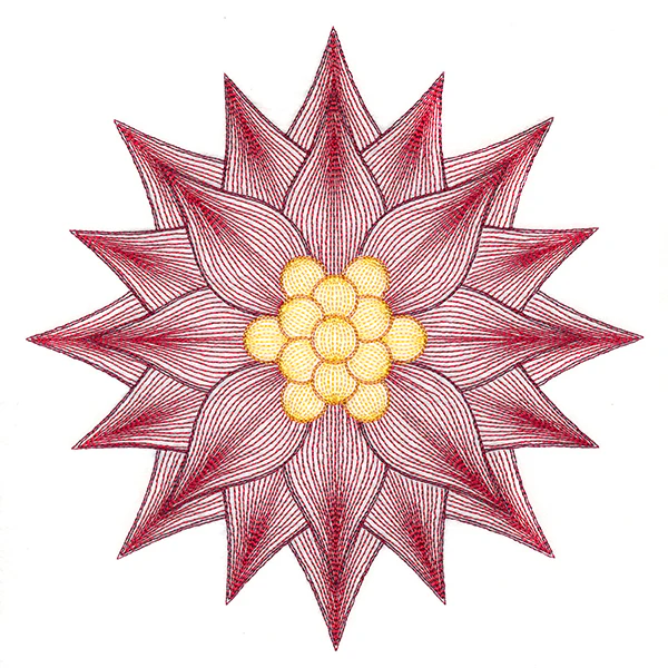 Mesmerizing Poinsettia - Image 9