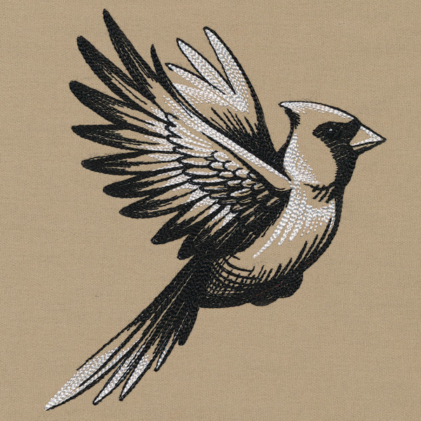 Midtone Cardinal Sketch - Image 3