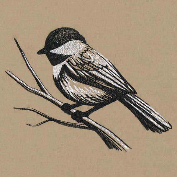 Midtone Chickadee Sketch - Image 2