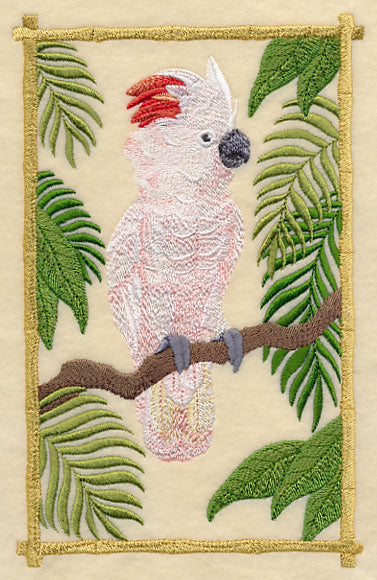 Moluccan Cockatoo in the Tropics - Image 3
