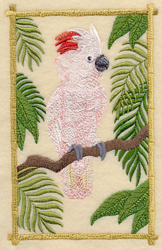 Moluccan Cockatoo in the Tropics - Image 4