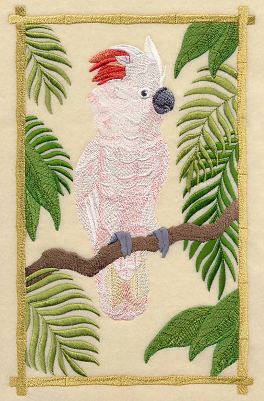 Moluccan Cockatoo in the Tropics - Image 5