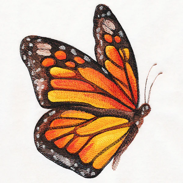 Monarch in Watercolor - Image 2