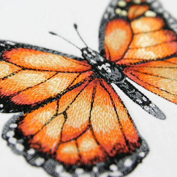 Monarch Specimen - Image 6