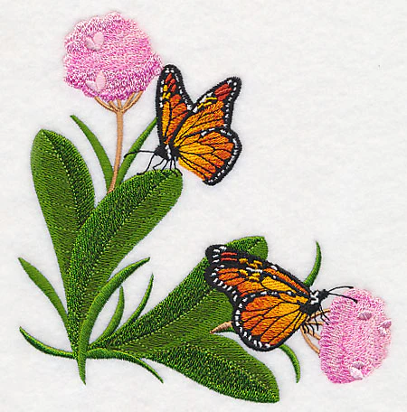 Monarchs and Milkweed Corner