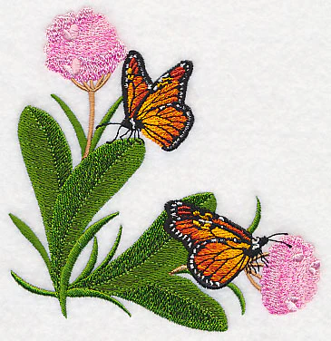 Monarchs and Milkweed Corner - Image 2