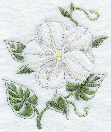 Moonflower Beauty - Image 3