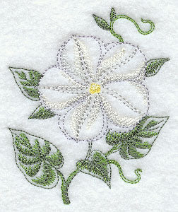 Moonflower Beauty - Image 5