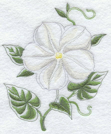 Moonflower Beauty - Image 6