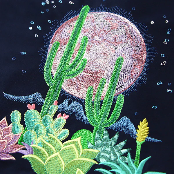 Moonlit Desert Scene - Image 4