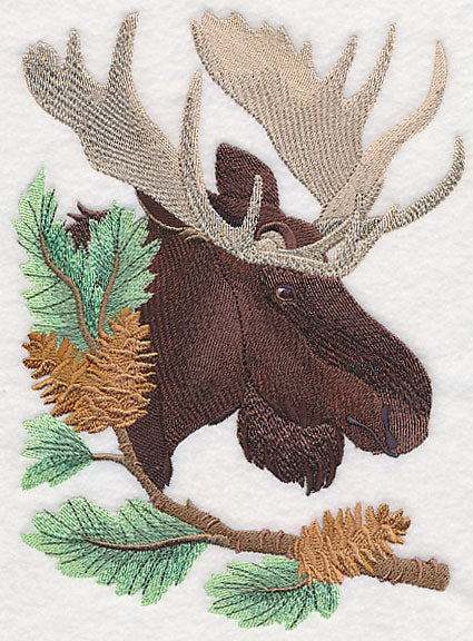 Moose in Pine - Image 2