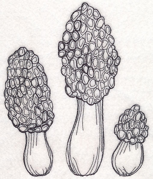 Morel Mushroom Etching - Image 6