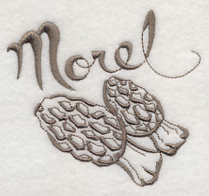 Morel Mushrooms - Image 2