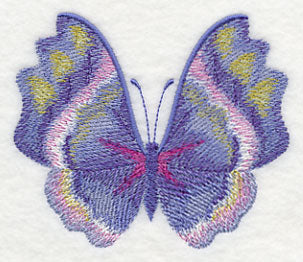 Morning Glory Butterfly in Watercolor - Image 3