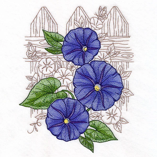 Morning Glory Echo - Image 2