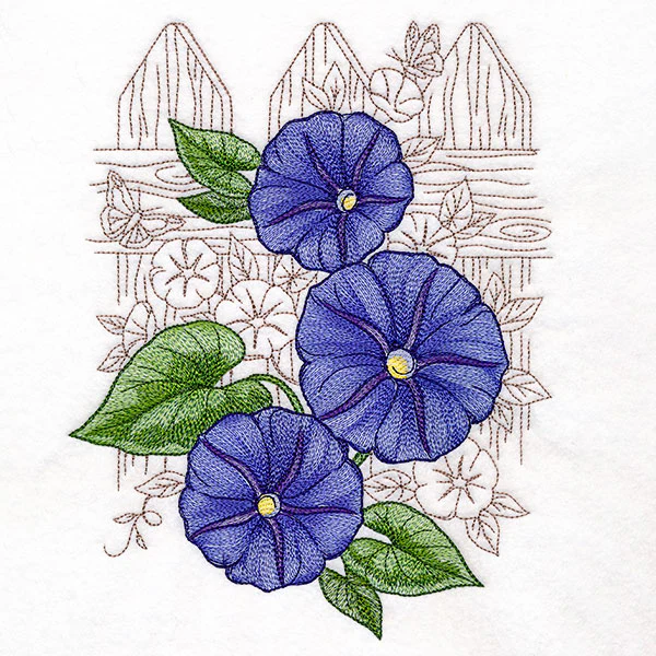 Morning Glory Echo - Image 4
