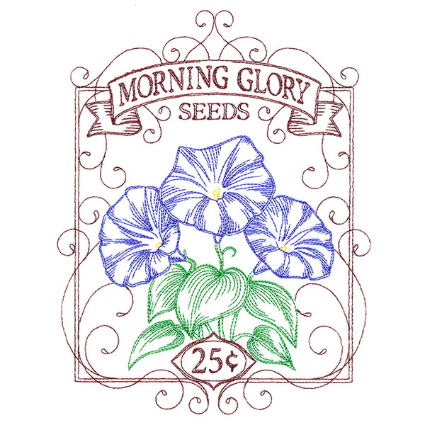 Morning Glory Seed Packet - Image 2