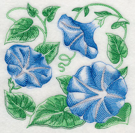 Morning Glory Sketch - Image 3