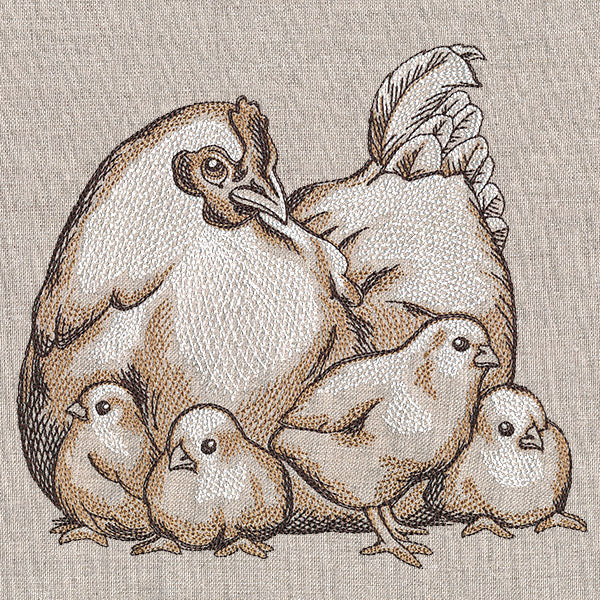 Mother Hen and Chicks Etching - Image 3