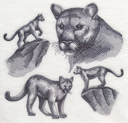 Mountain Lion Sketch - Image 2