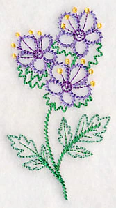 Mountain Phacelia (Vintage)