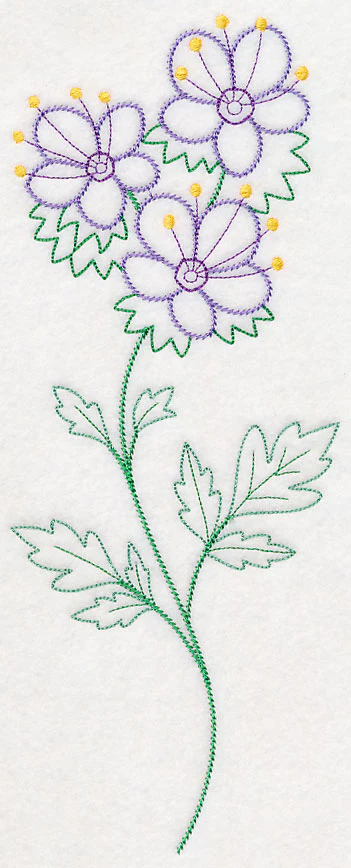 Mountain Phacelia (Vintage)