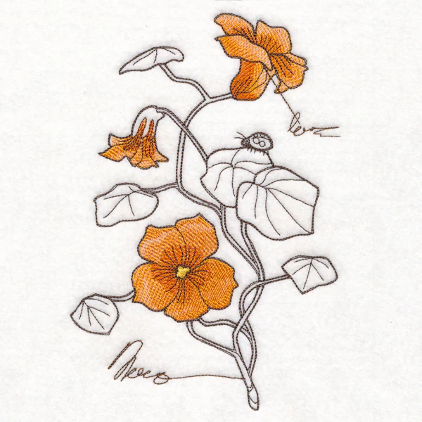 Nasturtium Botanicals - Image 2