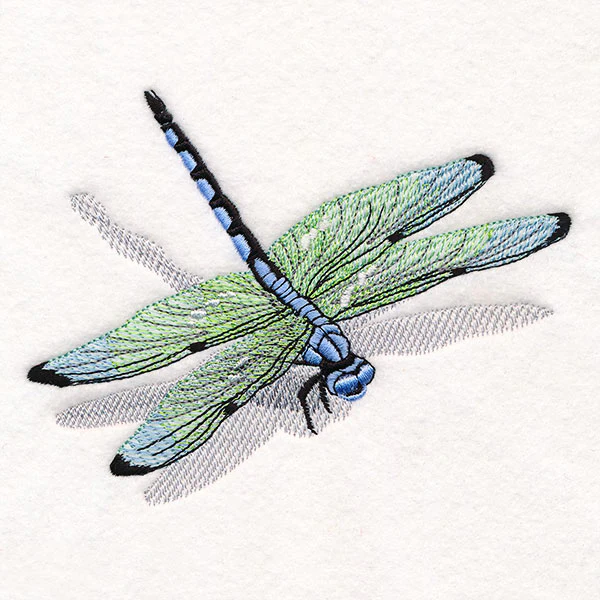Nature's Simple Dragonfly - Image 2
