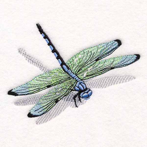 Nature's Simple Dragonfly - Image 3